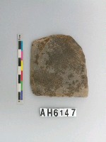 藏品(磨製石斧)的圖片